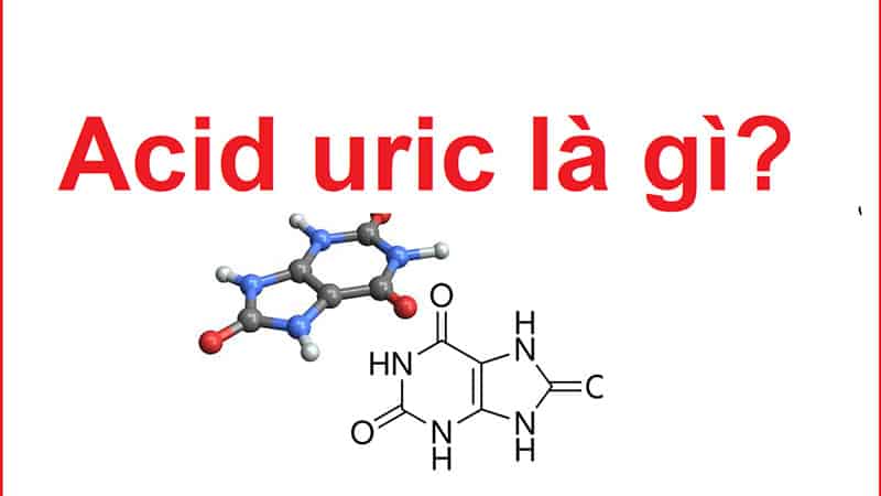 chỉ số acid uric là gì