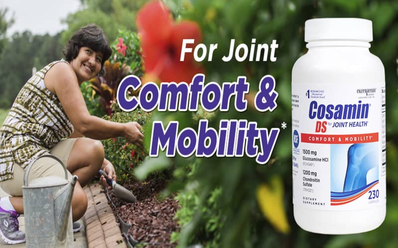 cosamin ds for joint health